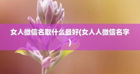 女人微信名取什么最好(女人人微信名字)