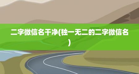 二字微信名干净(独一无二的二字微信名)