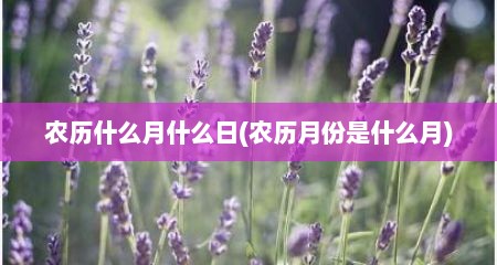 农历什么月什么日(农历月份是什么月)