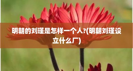 明朝的刘瑾是怎样一个人?(明朝刘瑾设立什么厂)