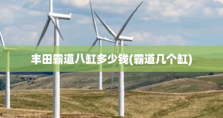 丰田霸道八缸多少钱(霸道几个缸)