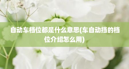 自动车档位都是什么意思(车自动挡的档位介绍怎么用)