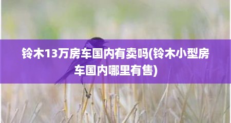 铃木13万房车国内有卖吗(铃木小型房车国内哪里有售)