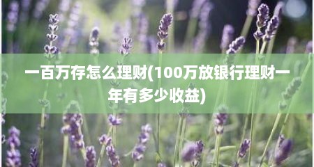 一百万存怎么理财(100万放银行理财一年有多少收益)