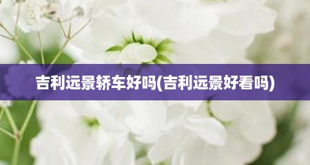 吉利远景轿车好吗(吉利远景好看吗)