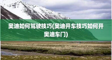 奥迪如何驾驶技巧(奥迪开车技巧如何开奥迪车门)