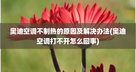 奥迪空调不制热的原因及解决办法(奥迪空调打不开怎么回事)