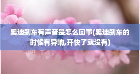 奥迪刹车有声音是怎么回事(奥迪刹车的时候有异响,开快了就没有)