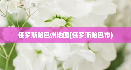 俄罗斯哈巴州地图(俄罗斯哈巴市)