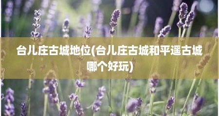 台儿庄古城地位(台儿庄古城和平遥古城哪个好玩)