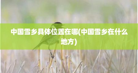 中国雪乡具体位置在哪(中国雪乡在什么地方)