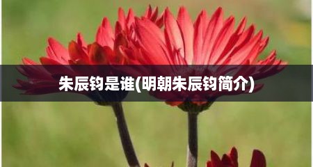 朱辰钧是谁(明朝朱辰钧简介)