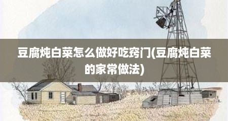 豆腐炖白菜怎么做好吃窍门(豆腐炖白菜的家常做法)