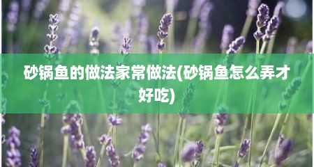 砂锅鱼的做法家常做法(砂锅鱼怎么弄才好吃)