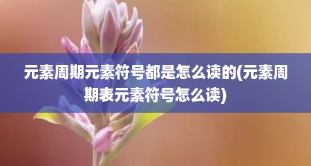 元素周期元素符号都是怎么读的(元素周期表元素符号怎么读)