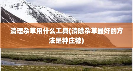 清理杂草用什么工具(清除杂草最好的方法是种庄稼)