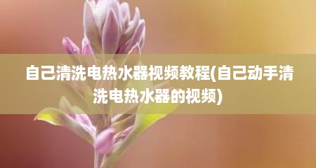 自己清洗电热水器视频教程(自己动手清洗电热水器的视频)