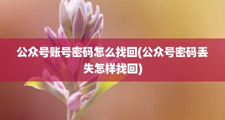 公众号账号密码怎么找回(公众号密码丢失怎样找回)