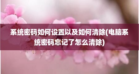 系统密码如何设置以及如何清除(电脑系统密码忘记了怎么清除)