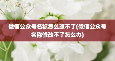 微信公众号名称怎么改不了(微信公众号名称修改不了怎么办)