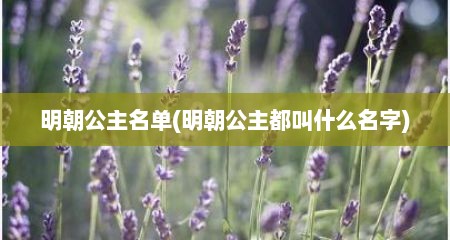 明朝公主名单(明朝公主都叫什么名字)
