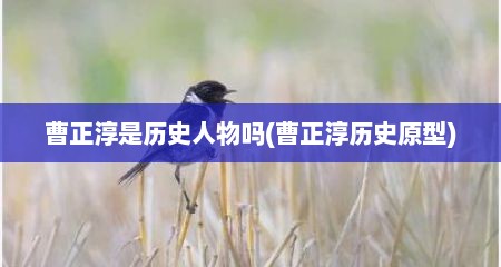 曹正淳是历史人物吗(曹正淳历史原型)