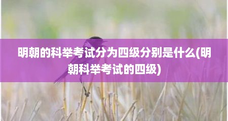 明朝的科举考试分为四级分别是什么(明朝科举考试的四级)