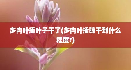 多肉叶插叶子干了(多肉叶插晾干到什么程度?)