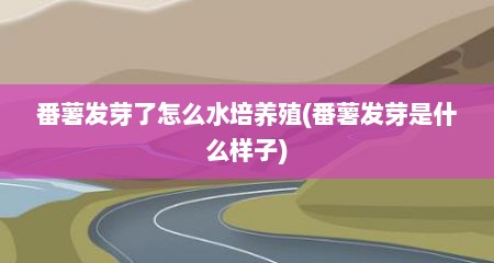 番薯发芽了怎么水培养殖(番薯发芽是什么样子)