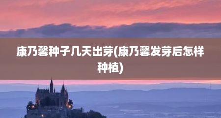 康乃馨种子几天出芽(康乃馨发芽后怎样种植)