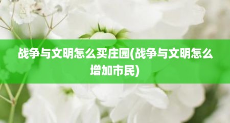 战争与文明怎么买庄园(战争与文明怎么增加市民)