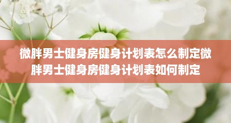 微胖男士健身房健身计划表怎么制定微胖男士健身房健身计划表如何制定