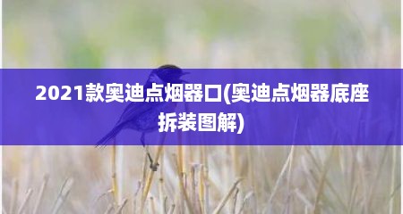 2021款奥迪点烟器口(奥迪点烟器底座拆装图解)