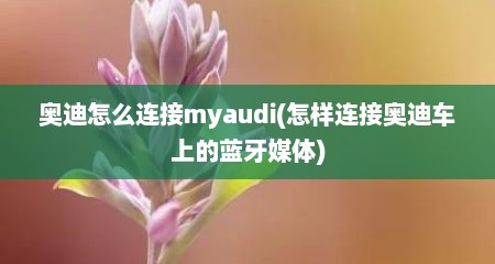 奥迪怎么连接myaudi(怎样连接奥迪车上的蓝牙媒体)