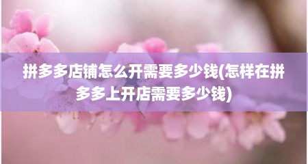 拼多多店铺怎么开需要多少钱(怎样在拼多多上开店需要多少钱)