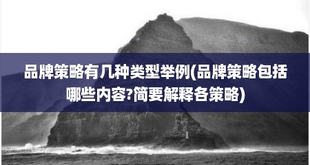 品牌策略有几种类型举例(品牌策略包括哪些内容?简要解释各策略)