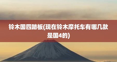 铃木国四踏板(现在铃木摩托车有哪几款是国4的)