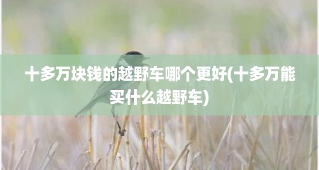 十多万块钱的越野车哪个更好(十多万能买什么越野车)