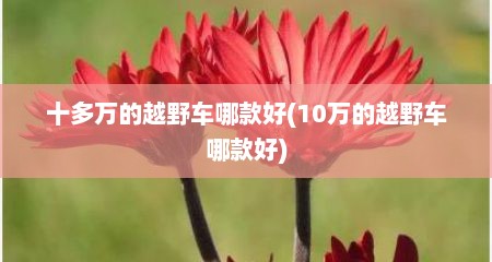 十多万的越野车哪款好(10万的越野车哪款好)