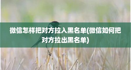 微信怎样把对方拉入黑名单(微信如何把对方拉出黑名单)