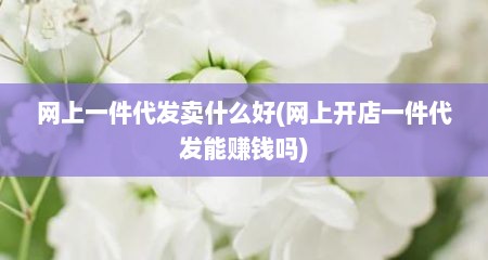 网上一件代发卖什么好(网上开店一件代发能赚钱吗)