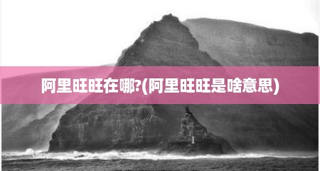 阿里旺旺在哪?(阿里旺旺是啥意思)