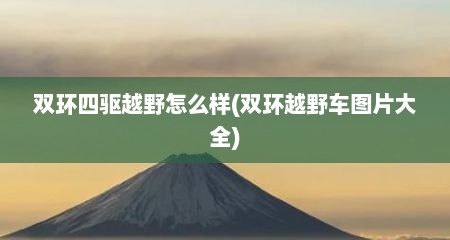 双环四驱越野怎么样(双环越野车图片大全)