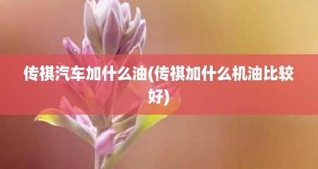 传祺汽车加什么油(传祺加什么机油比较好)