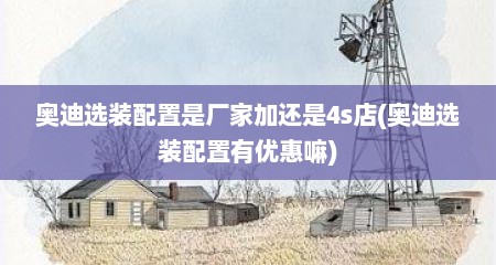 奥迪选装配置是厂家加还是4s店(奥迪选装配置有优惠嘛)