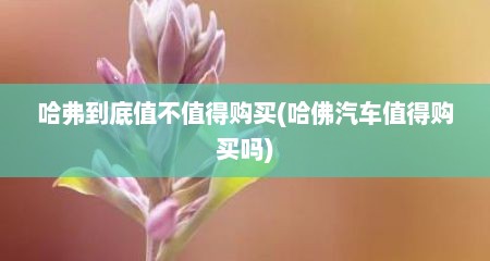 哈弗到底值不值得购买(哈佛汽车值得购买吗)