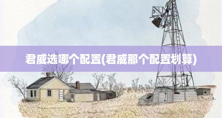 君威选哪个配置(君威那个配置划算)