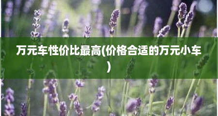万元车性价比最高(价格合适的万元小车)