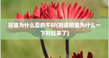 冠道为什么卖的不好(冠道销量为什么一下好起来了)