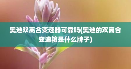 奥迪双离合变速器可靠吗(奥迪的双离合变速箱是什么牌子)